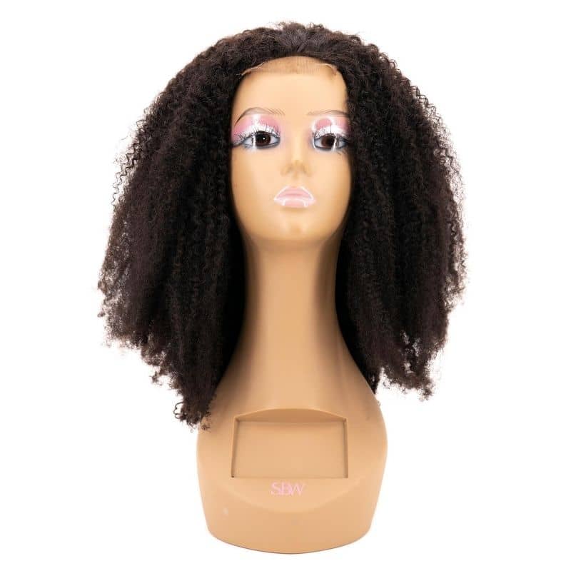 Afro Kinky Curly 4x4 Transparent Lace 100% Human Hair Closure Wig